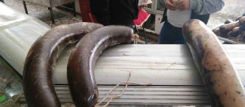 Колбасы из конины на прилавке