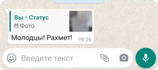Сообщение в WhatsApp: молодцы, рахмет