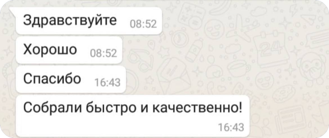 Сообщение в WhatsApp: собрали быстро и качественно